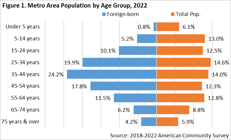 Metro Area Population by Age Group