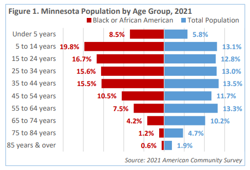 Minnesota Population by Age Group