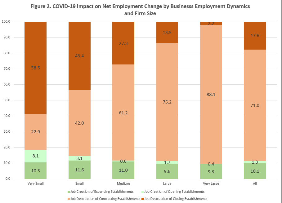 Figure 2. COVID-19 Impact on Net Employment Change by Business Employment Dynamics and Firm Size