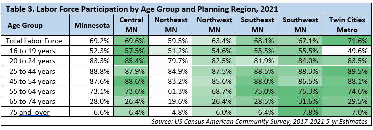Labor Force Participation by Age Group and Planning Region
