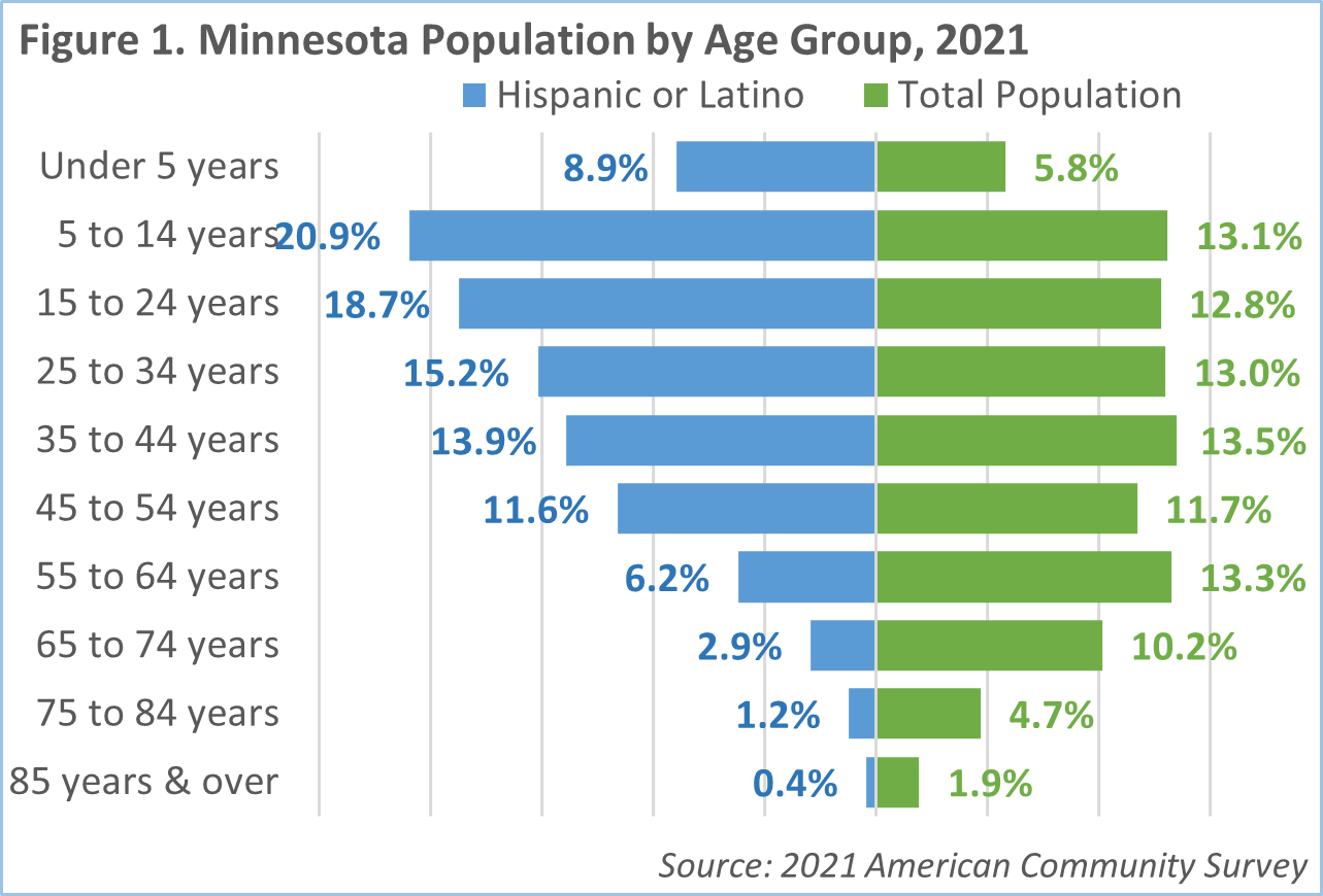 Figure 1: Minnesota Population by Age Group, 2021