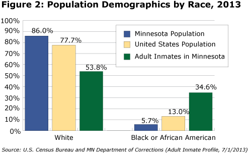 Figure 2: Population Demographics by Race, 2013